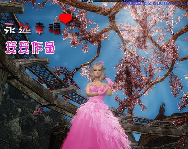 上古卷轴5：天际 玲玲婚纱系列3 落英超美婚纱