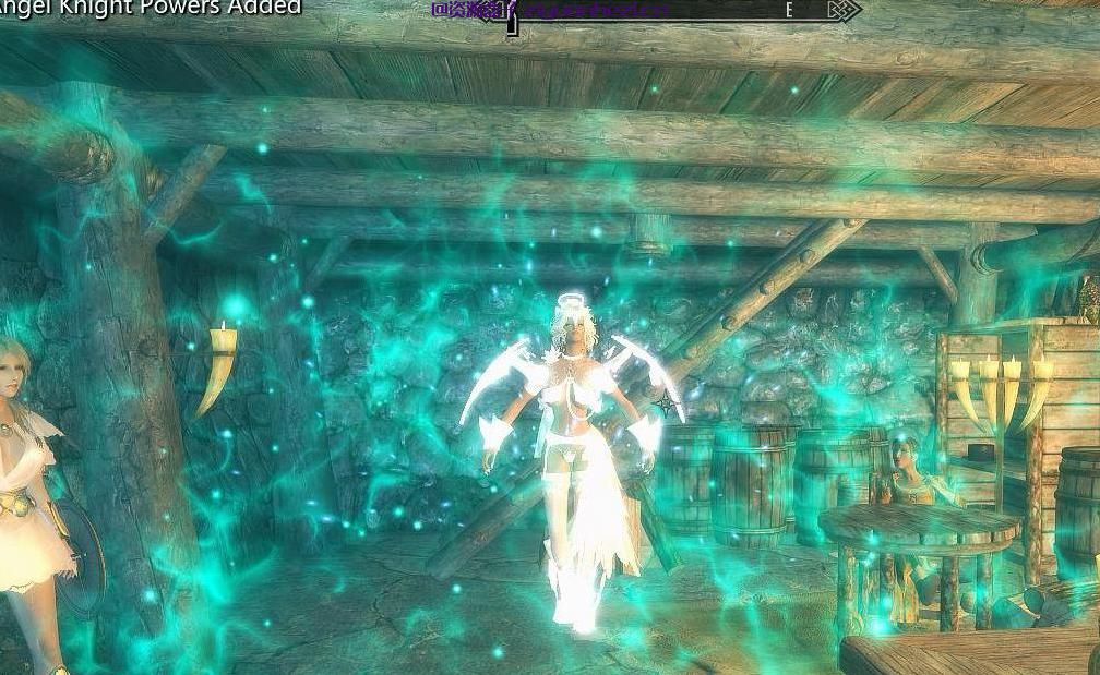 上古卷轴5：天际 天使与恶魔混血种族