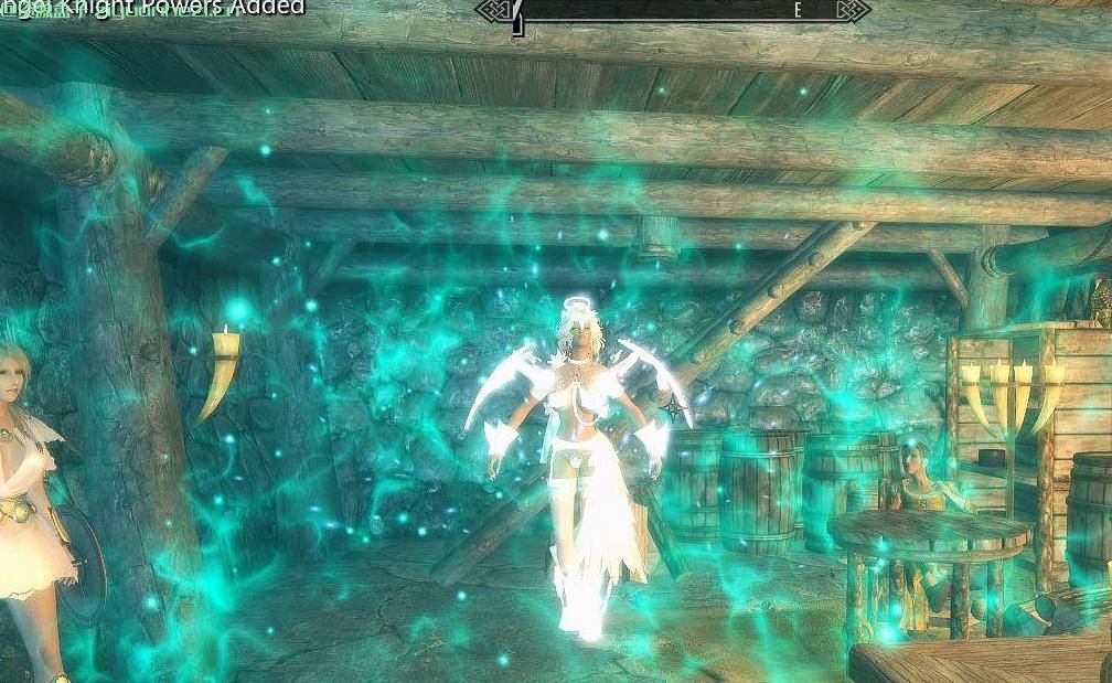 上古卷轴5：天际 天使与恶魔混血种族