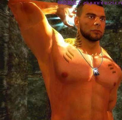 上古卷轴5：天际 质量效应3的James Vega