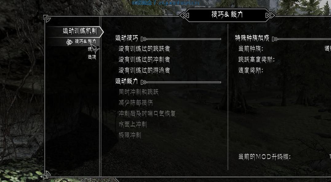 上古卷轴5：天际 精品MOD，运动训练 v1.41[汉化]