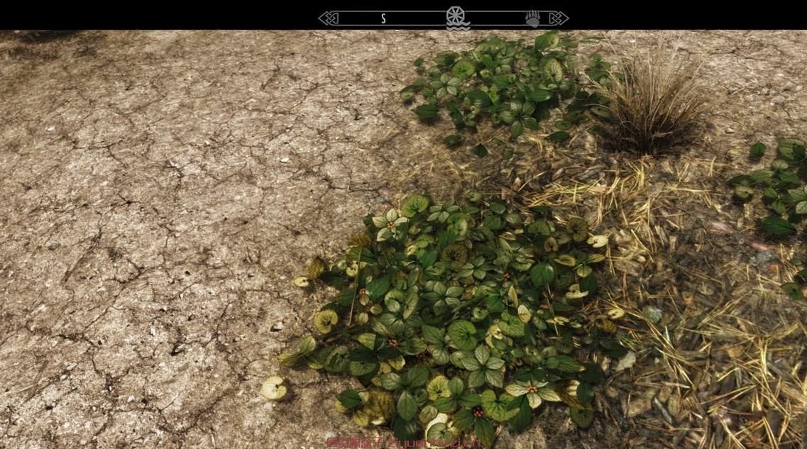 上古卷轴5：天际 BoneAsh D3D增强补丁 低配利器!