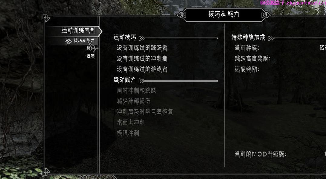 上古卷轴5：天际 精品MOD，运动训练 v1.41[汉化]