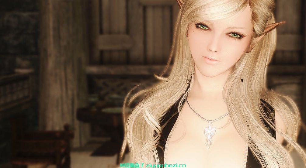 上古卷轴5:天际 眯眯姐,随从妹子带回家!