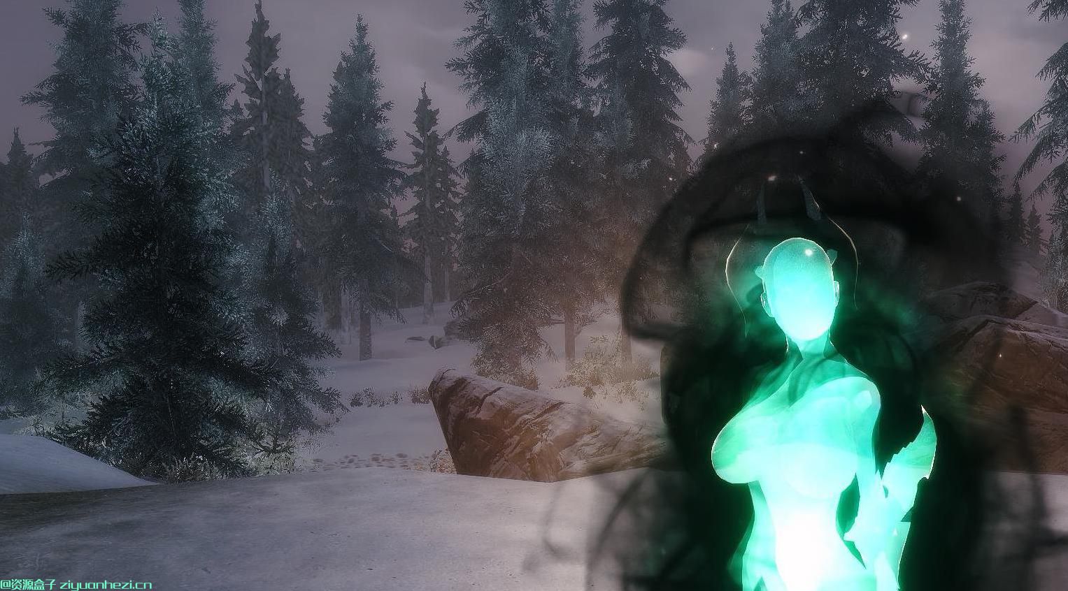 上古卷轴5：天际 不一样的仙女座独立随从