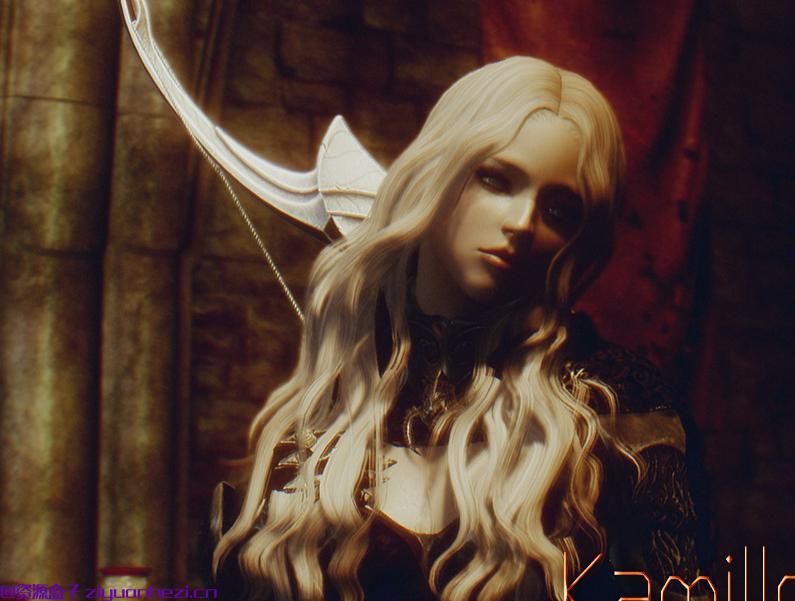 上古卷轴5：天际 会暖床的御姐随从-卡米尔 v0.2