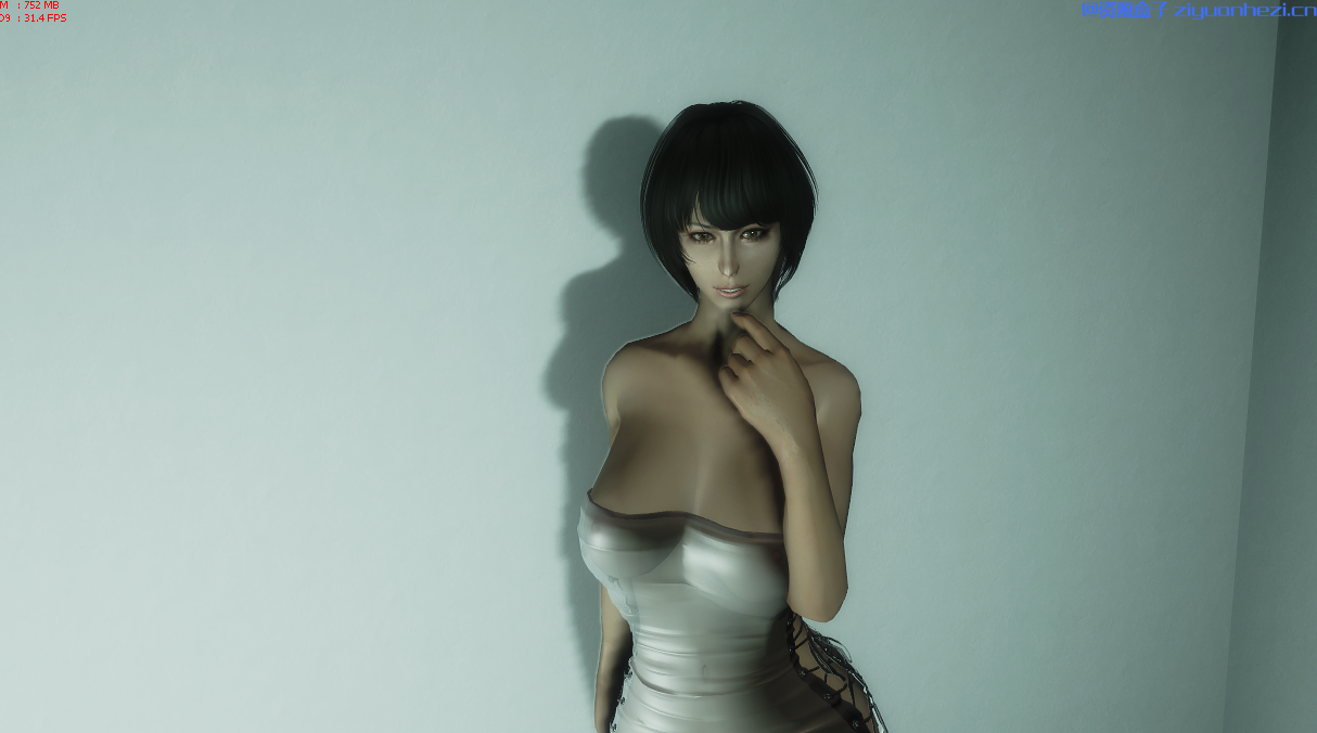 上古卷轴5：天际 随从MOD御姐凯琳 汉化版