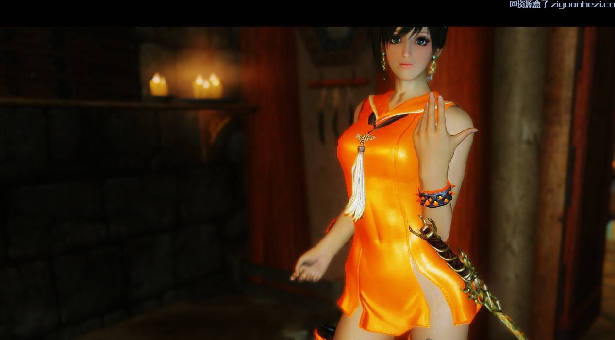 上古卷轴5：天际 三色流年套装 汉化版