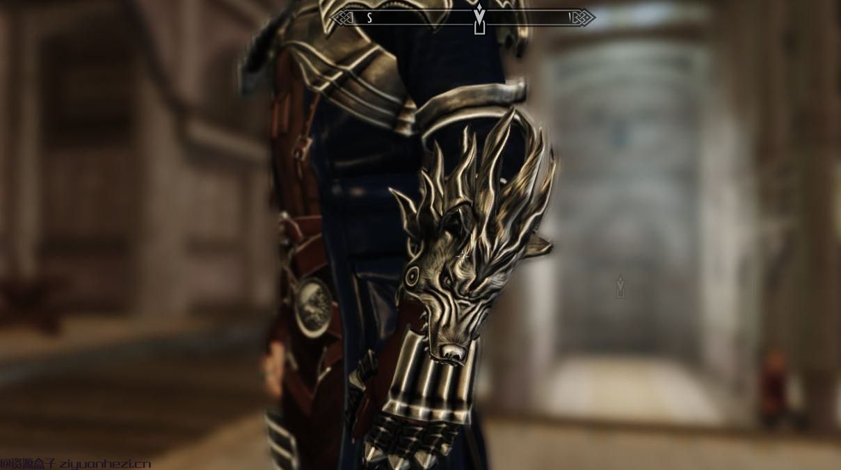 上古卷轴5：天际 洛奇K-9套装 重制版