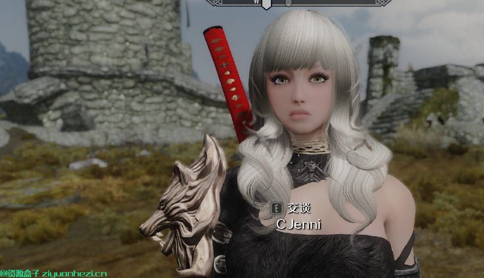 上古卷轴5：天际 独立随从妹妹珍妮 独立NMM版