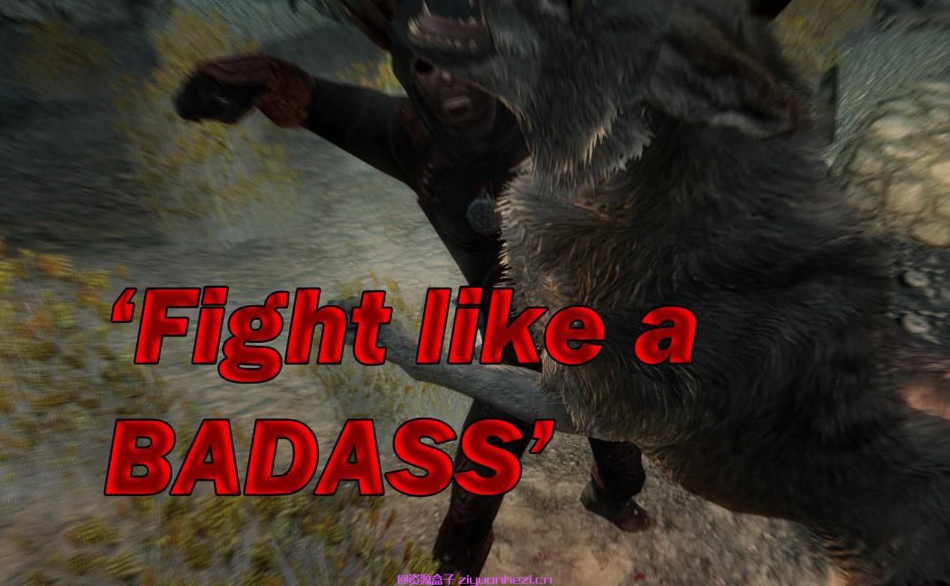 上古卷轴5：天际 解锁空手搏斗时的终结技 v1.1