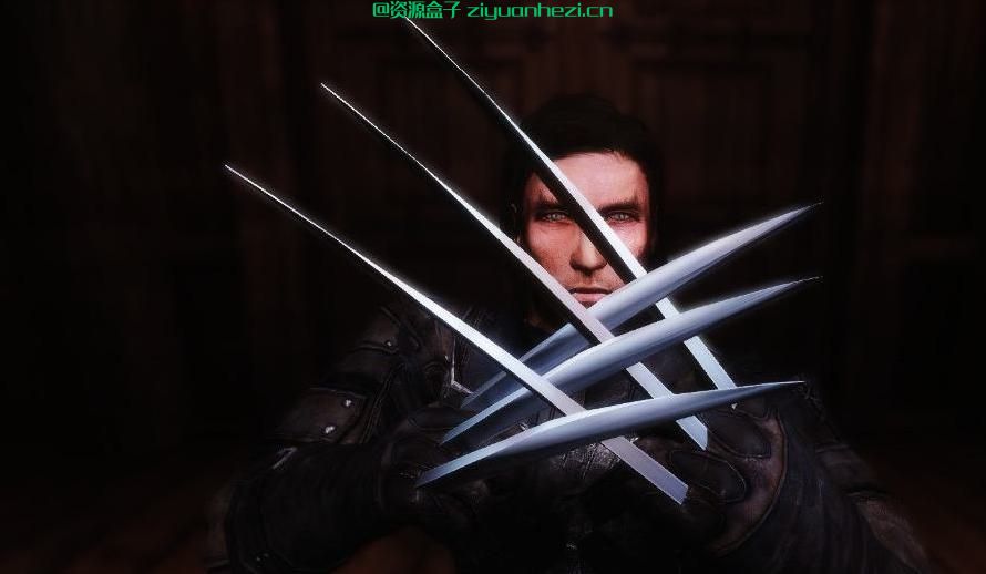 上古卷轴5：天际 金刚狼之爪 汉化版