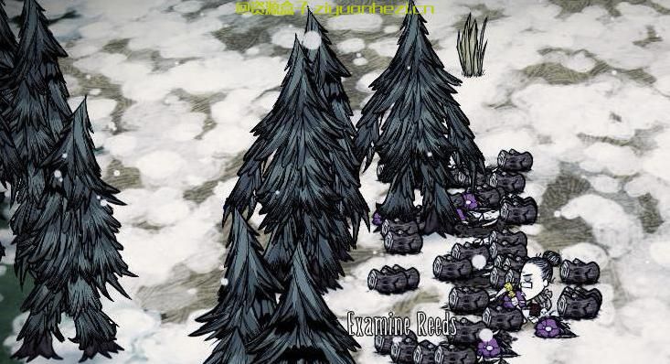 饥荒 玩家原创塔防MOD 怪物必须死 v1.0