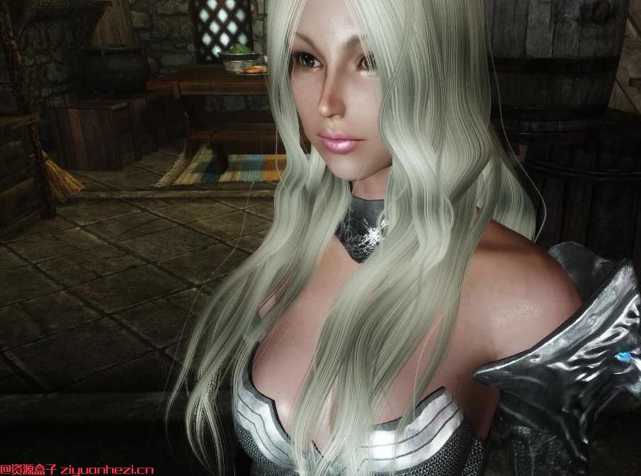 上古卷轴5：天际 女武神史维特莱德套装