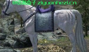 上古卷轴5:天际 新造型名马冰霜