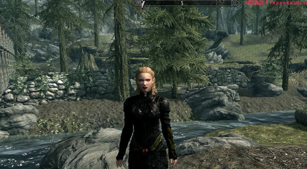 上古卷轴5:天际 美丽的黑寡妇套装 v1.0