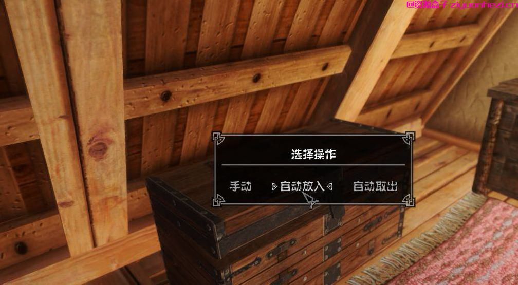 上古卷轴5：天际 一键储存道具插件