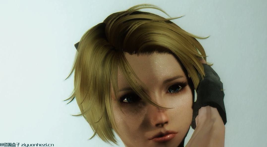 上古卷轴5：天际 寄生前夜阿雅 中文版