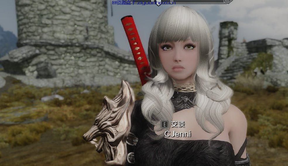 上古卷轴5：天际 独立随从妹妹珍妮 独立NMM版