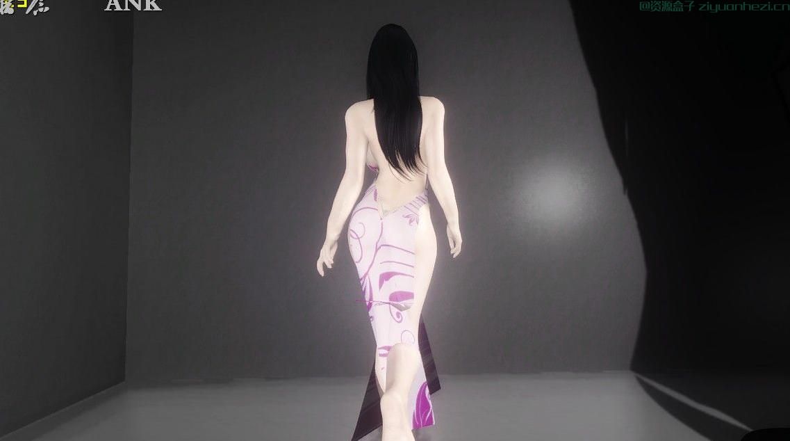 上古卷轴5:天际 随从-海贼女帝汉库克