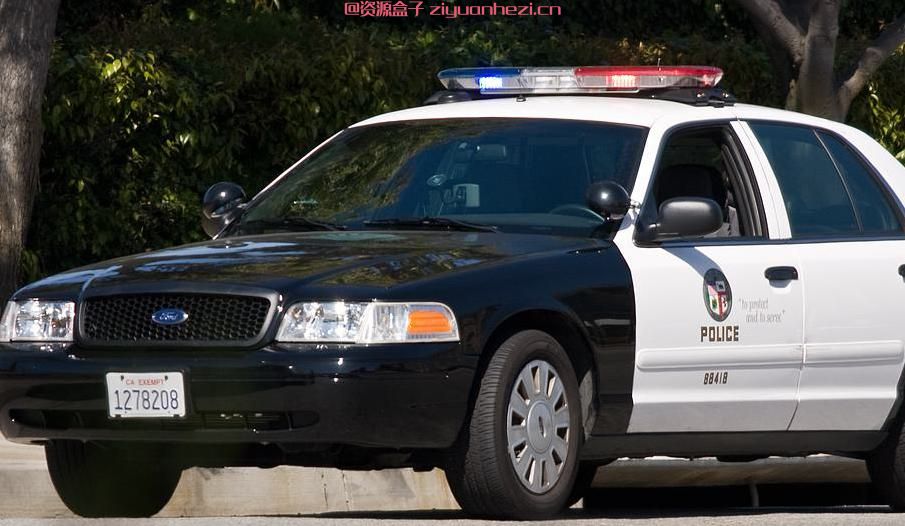 腐烂国度 洛杉矶警车MOD