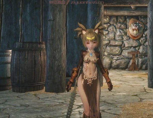 上古卷轴5：天际 精品TERA套装之FOX31