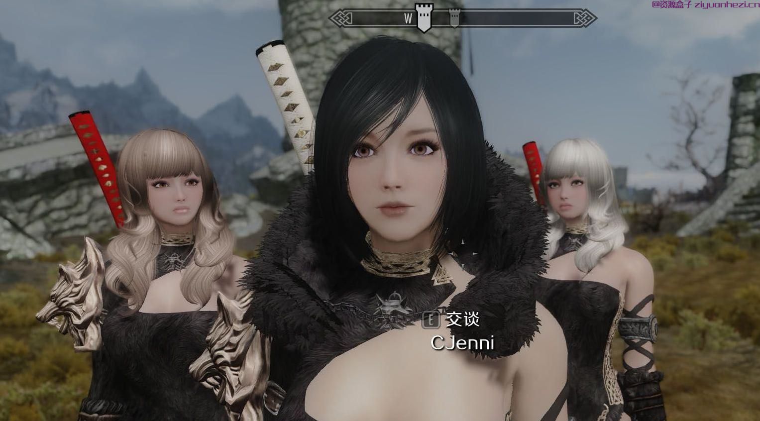 上古卷轴5：天际 独立随从durriya 黑珍珠 独立NMM版