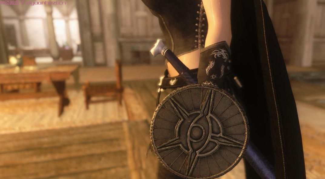 上古卷轴5：天际 原版盾小型化 [汉化]