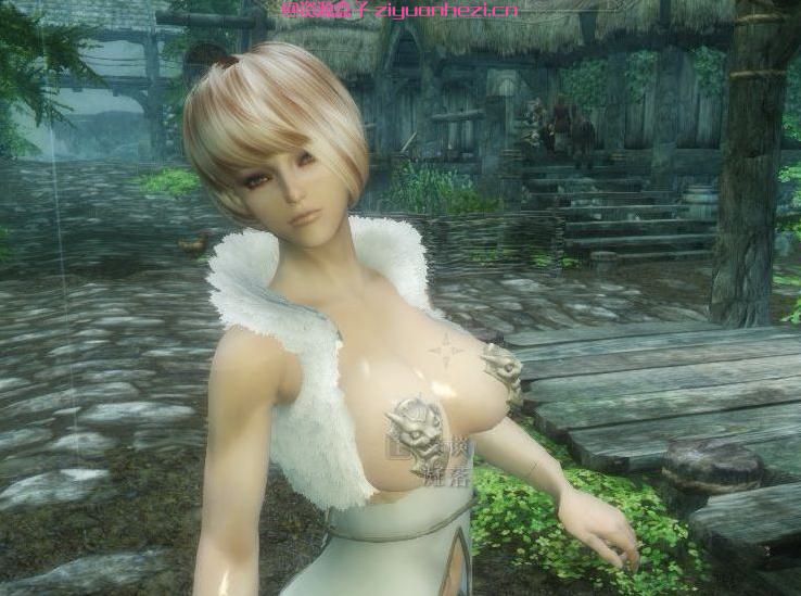 上古卷轴5 中箭组原创-火焰之女凝落 中文配音版