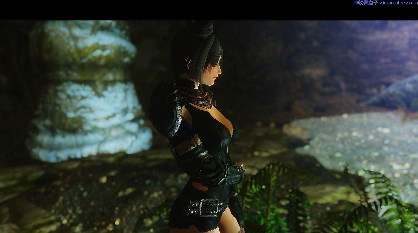 上古卷轴5：天际 UNP黑爪护甲 汉化版