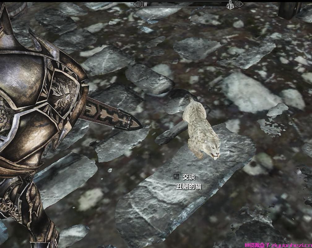 上古卷轴5:天际 随从MOD白猫宝宝 汉化版