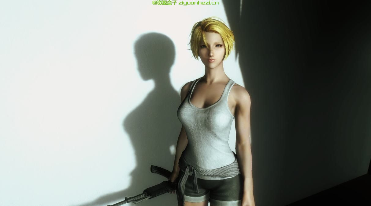 上古卷轴5：天际 寄生前夜阿雅 中文版