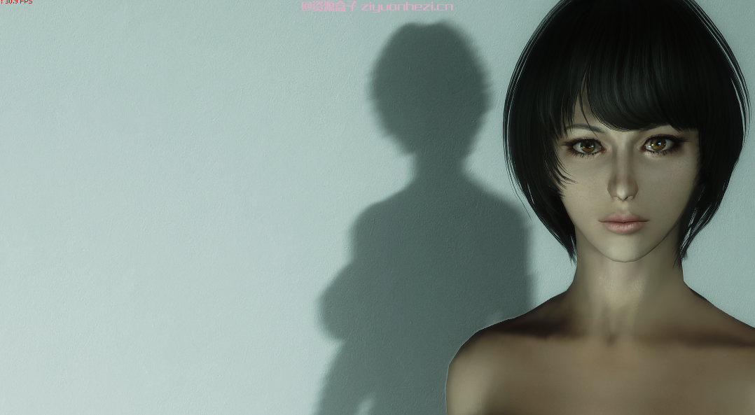 上古卷轴5：天际 随从MOD御姐凯琳 汉化版