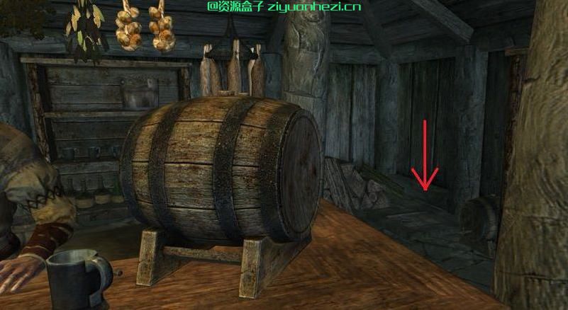 上古卷轴5:天际 旅馆洗澡房 汉化版