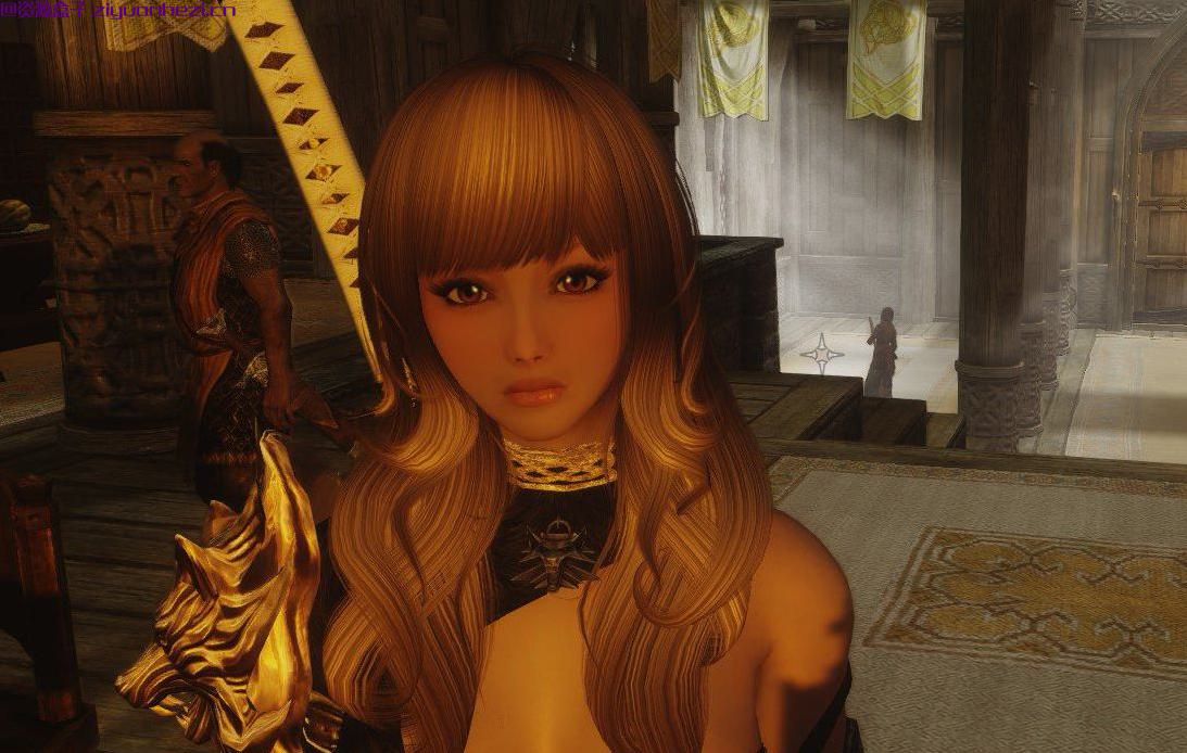 上古卷轴5:天际 独立随从姐姐巧儿 独立NMM版