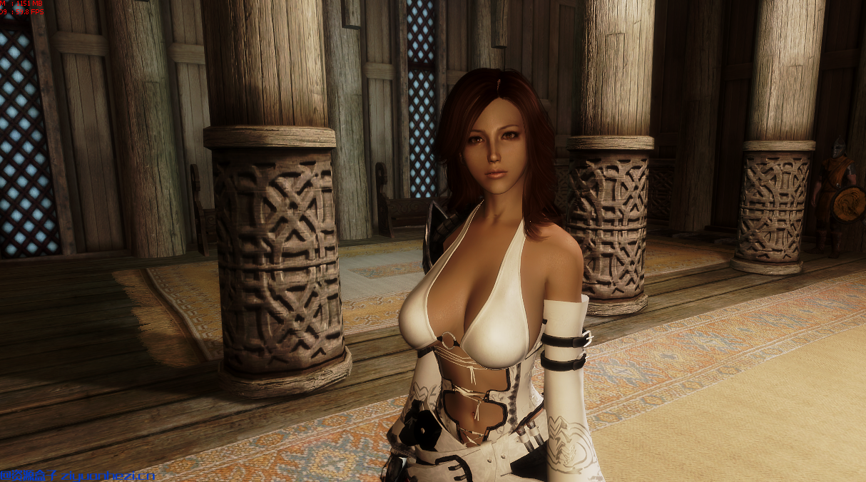 上古卷轴5:天际 随从MOD女战士艾玛v1.0