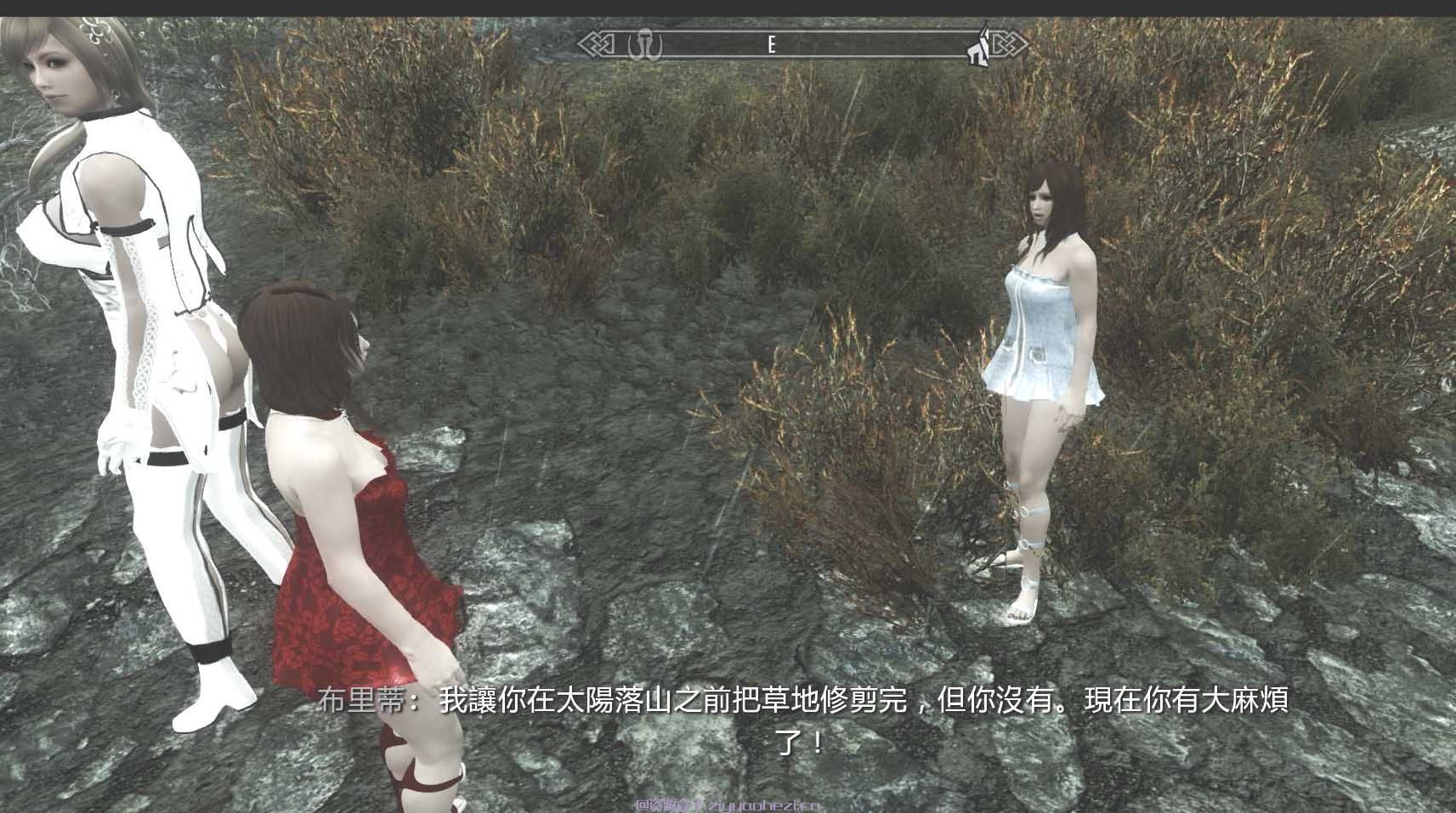 上古卷轴5：天际 熊小孩更衣插件