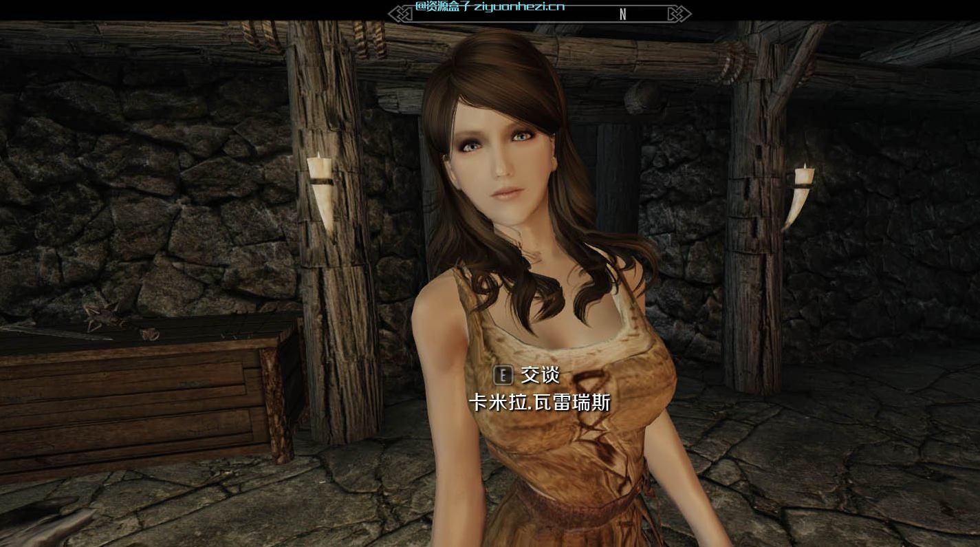 上古卷轴5天际MOD：上古卷轴5：天际 Jully精品全美(含58名女性NPC美化) 网盘下载