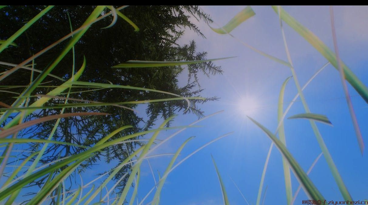 上古卷轴5：天际 清新风格中配ENB