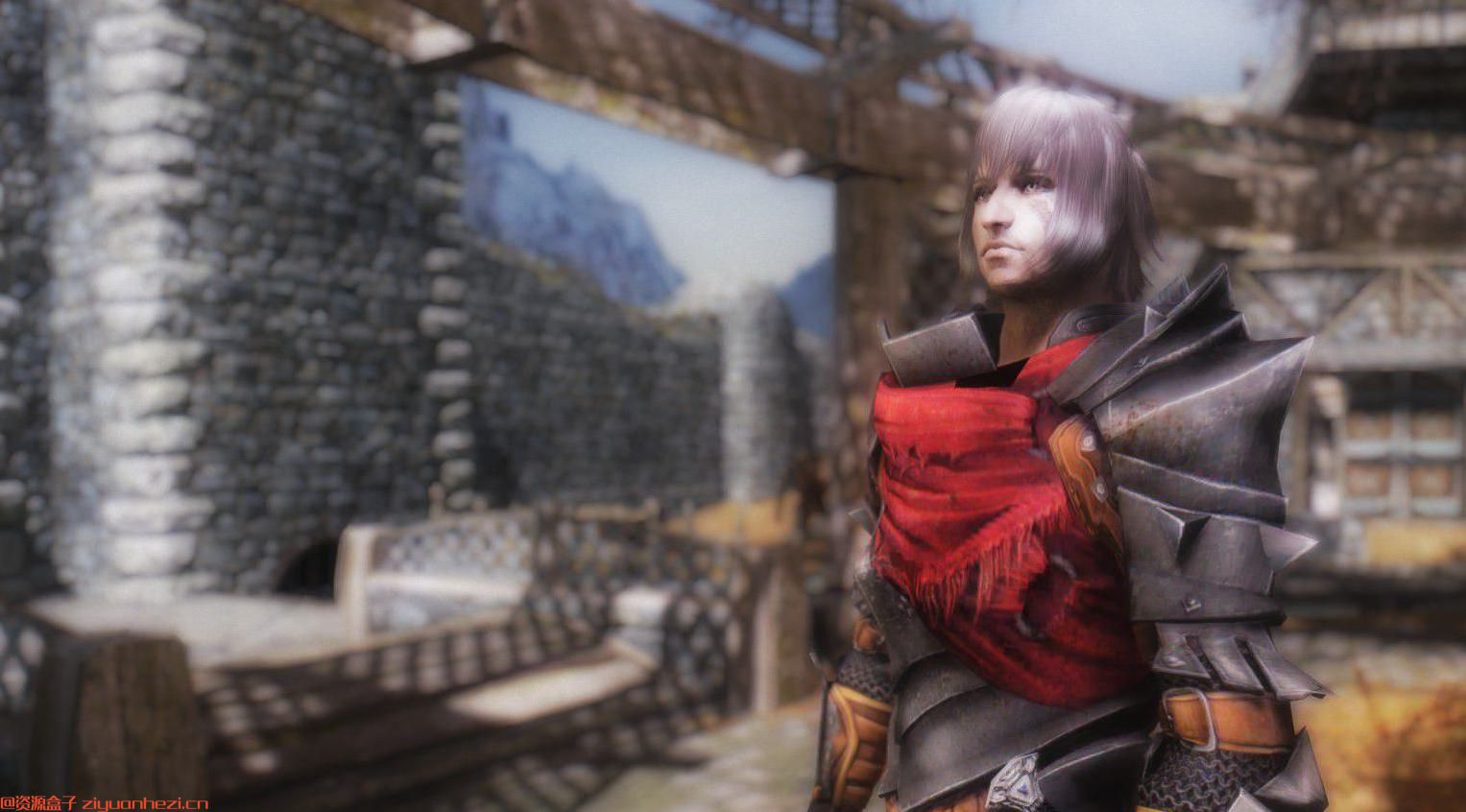 上古卷轴5：天际 龙腾世纪板甲-捍卫者 汉化版