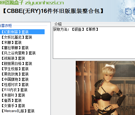 上古卷轴5：天际 CBBE白雪16件怀旧服装整合包