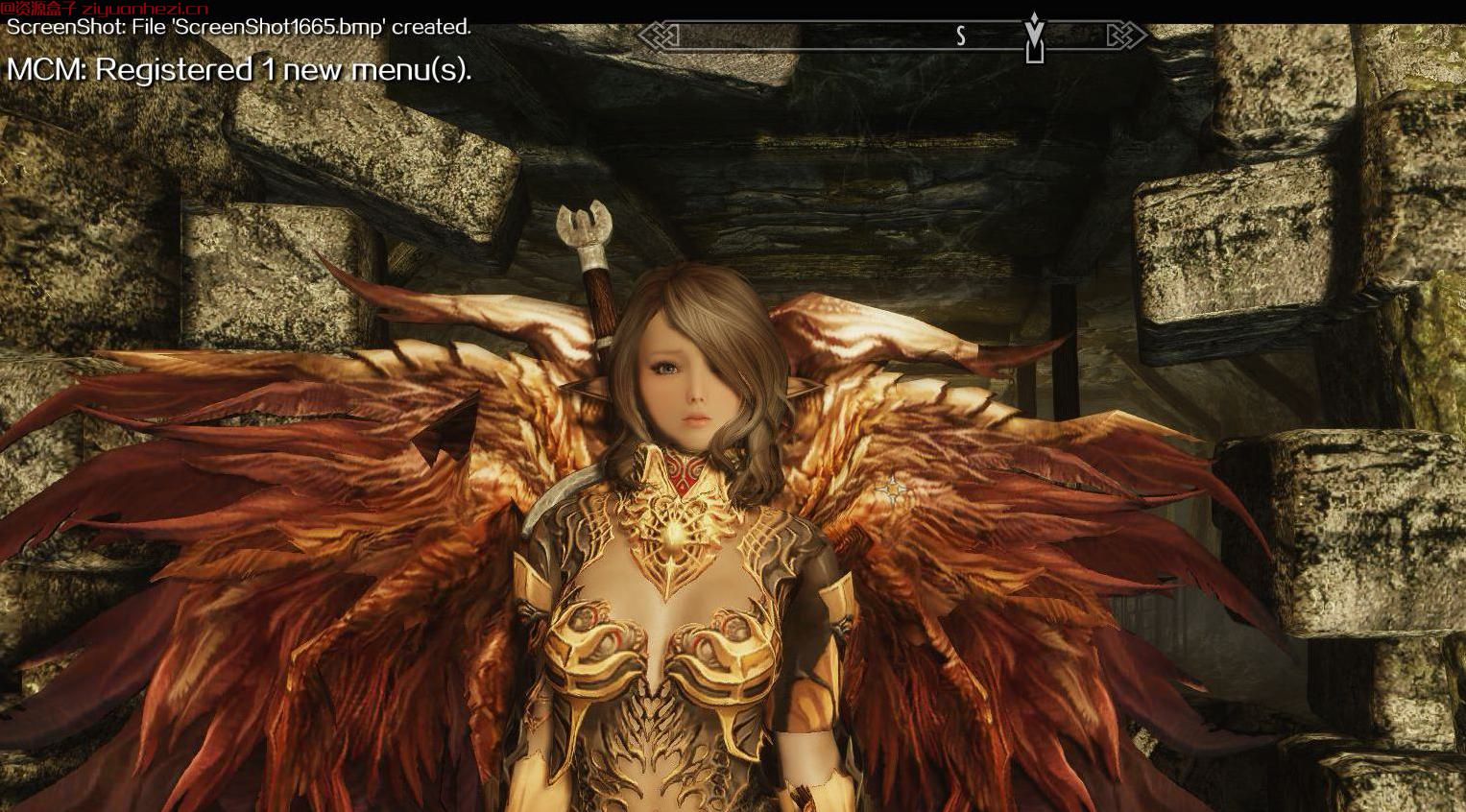 上古卷轴5：天际 随从-精灵游侠艾碧亚