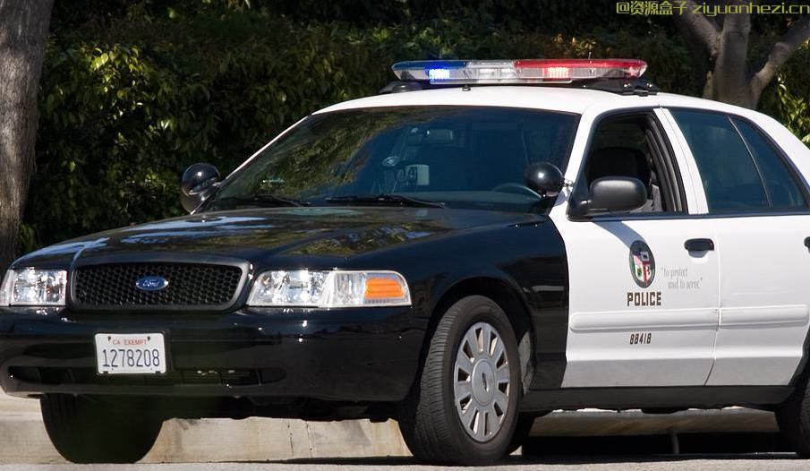 腐烂国度 洛杉矶警车MOD