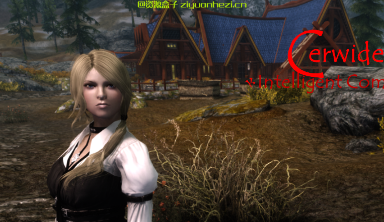 上古卷轴5 治疗随从瑟薇蒂儿(Cerwiden) 汉化版