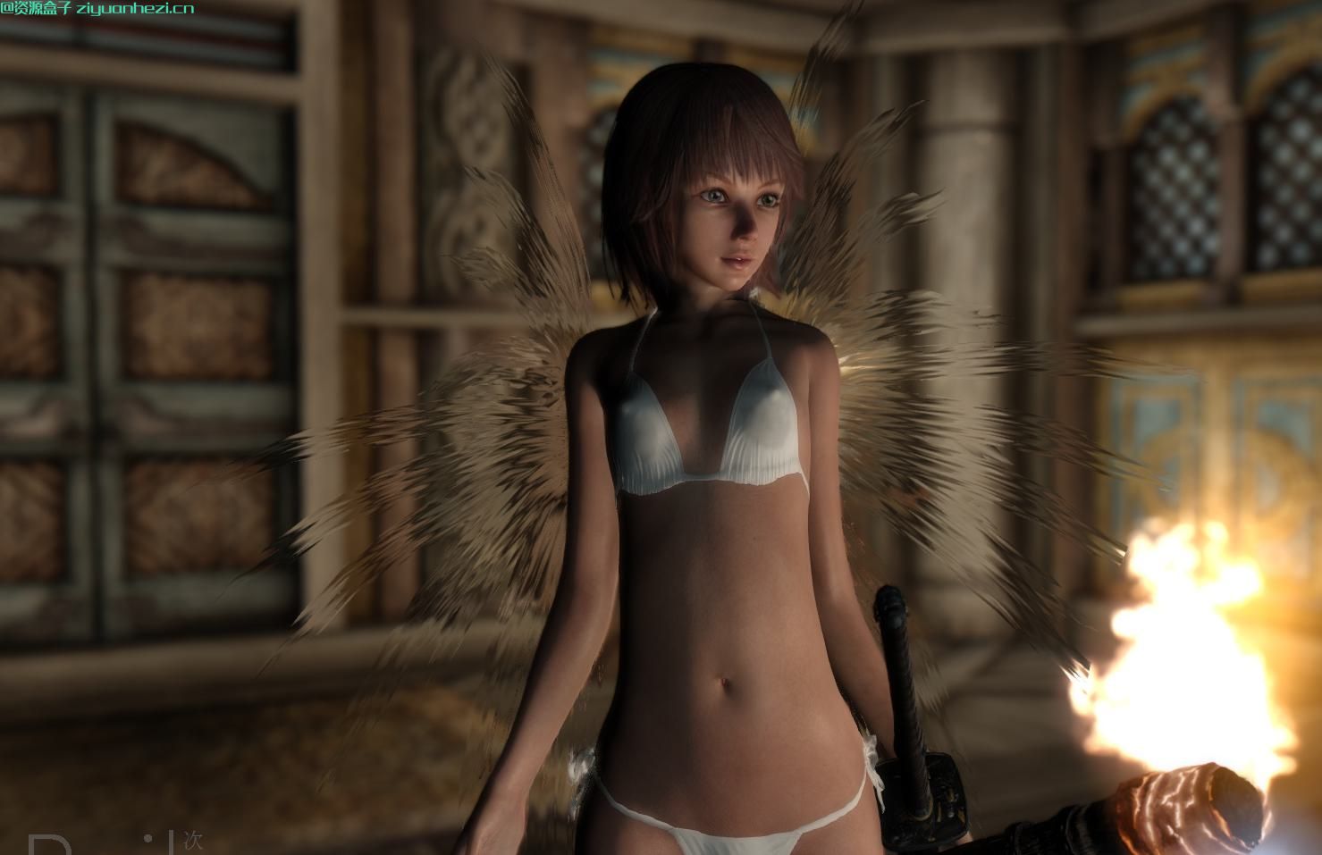 上古卷轴5：天际 绝美幻影羽翼