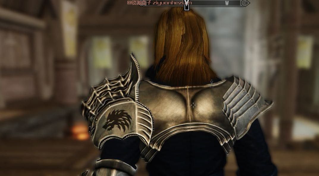 上古卷轴5：天际 洛奇K-9套装 重制版