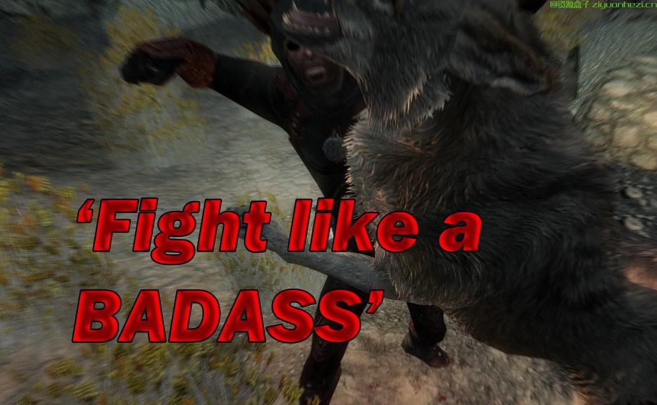 上古卷轴5：天际 解锁空手搏斗时的终结技 v1.1