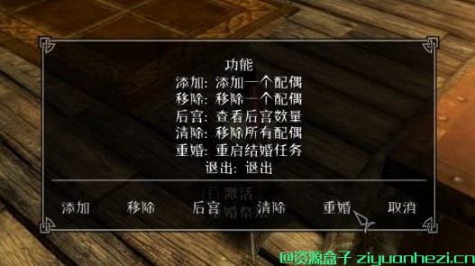 上古卷轴5：天际 重婚MOD，想娶多个老婆？进来看看！