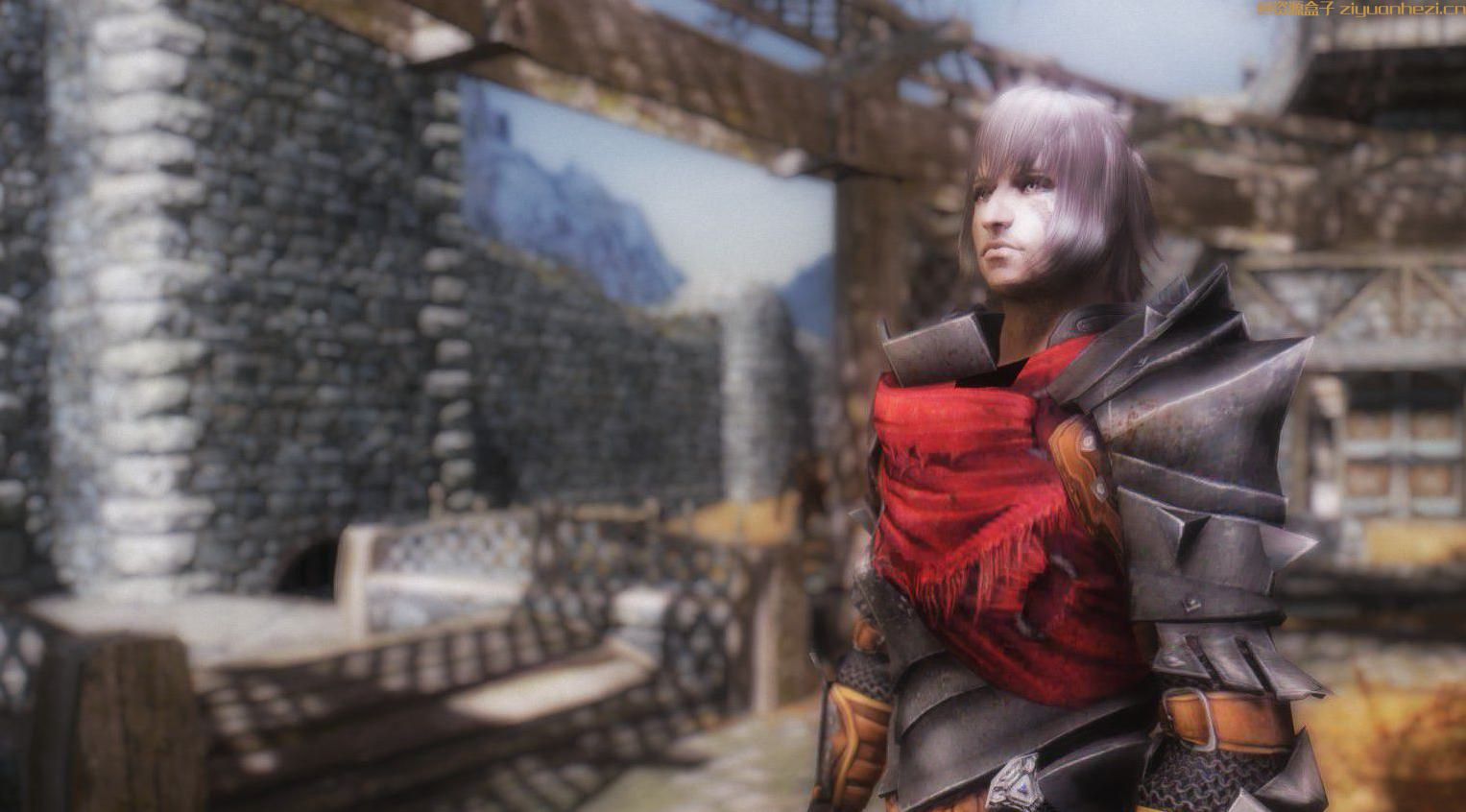 上古卷轴5：天际 龙腾世纪板甲-捍卫者 汉化版