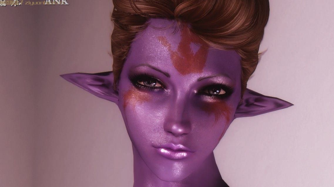 上古卷轴5:天际 堕落天使战痕